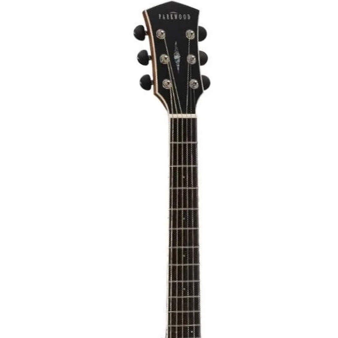 Акустическая гитара Cort PW-540 w/bag Nat