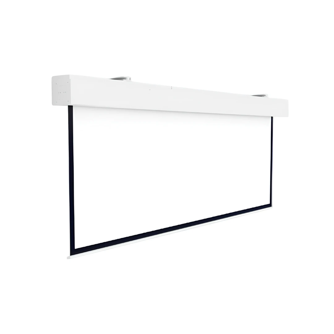Проекционный экран Projecta Elpro Large Electrol 500x500 см (10100340)