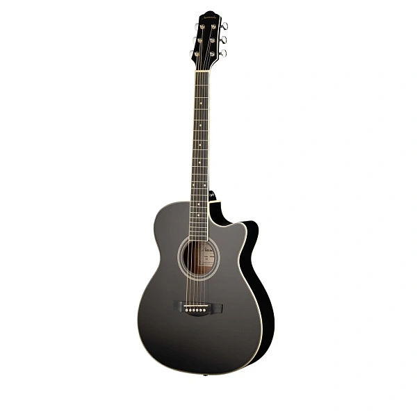 Акустическая гитара Naranda TG220CBK