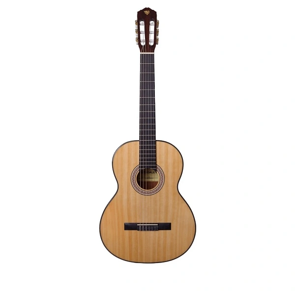 Классическая гитара Rockdale Classic C2