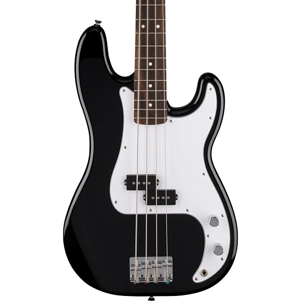 Бас-гитара Fender Standard Precision Bass LRL Black