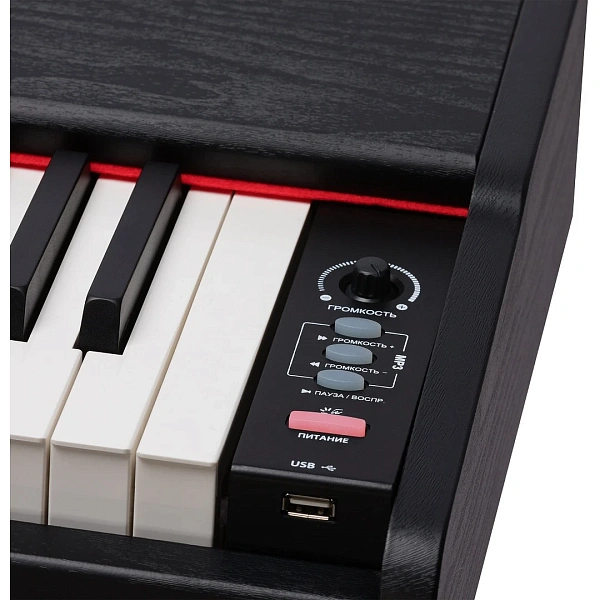 Цифровое пианино Rockdale Keys RDP-3088
