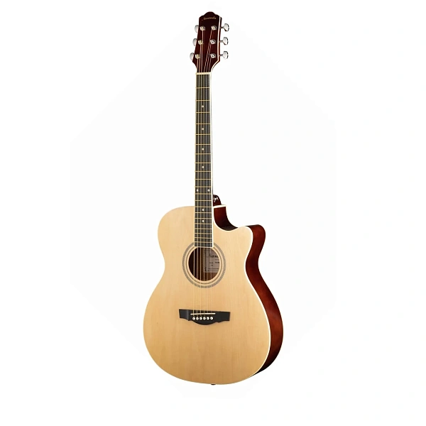 Акустическая гитара Naranda TG120CNA