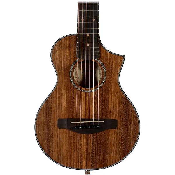 Акустическая гитара Ibanez EWP14WB-OPN