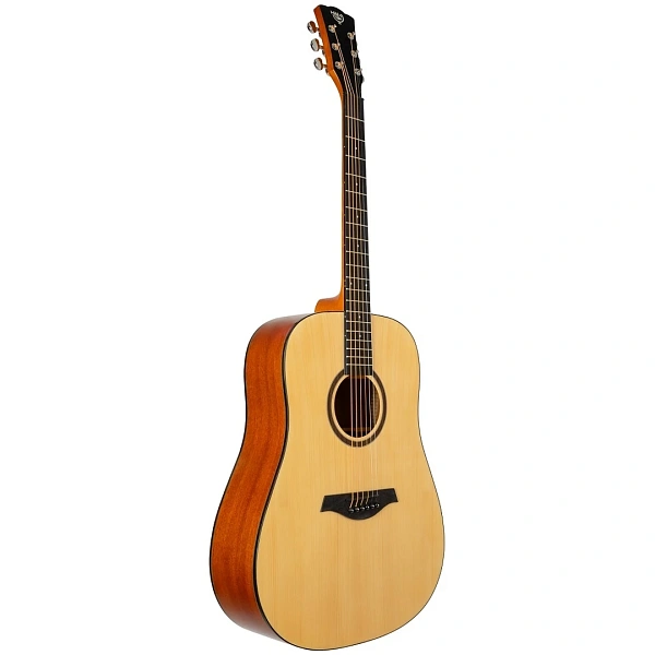 Акустическая гитара Rockdale Aurora D5 NGL
