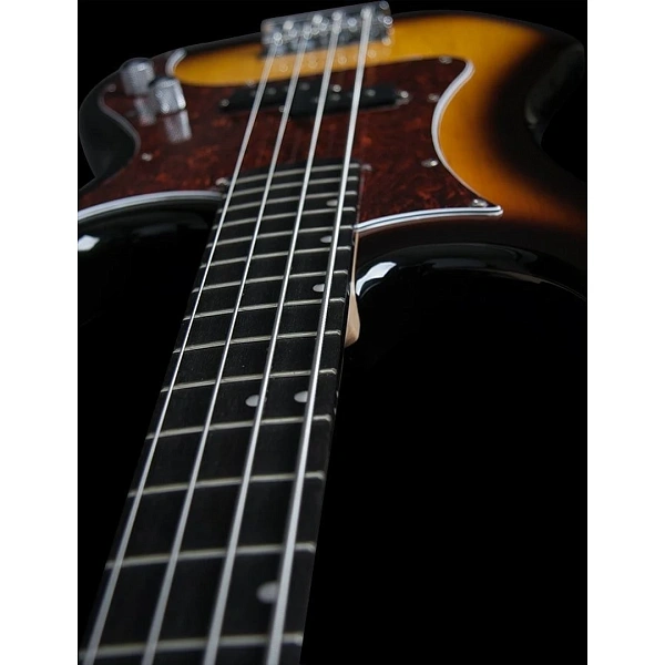 Бас-гитара Washburn SB1PTS