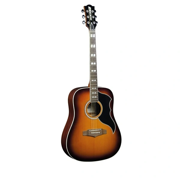 Акустическая гитара Eko Ranger VI VR Honey Sunburst