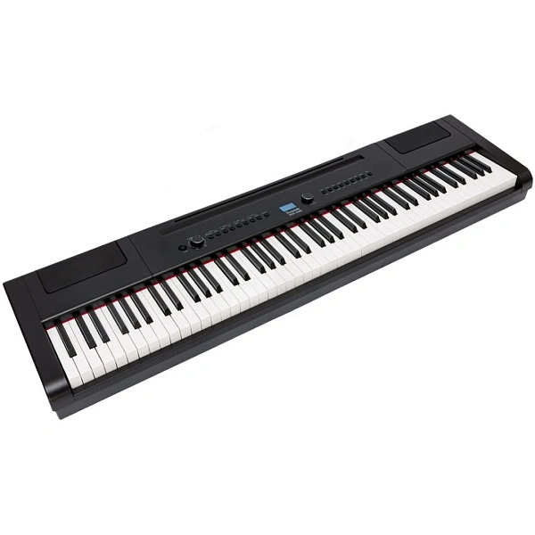Цифровое пианино Rockdale RDP-4088 Elegy Black